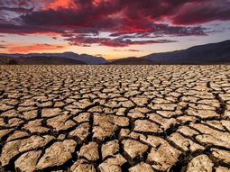 Alberto participa de un foro sobre cambio climático invitado por el presidente de Estados Unidos