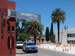 La Plata: una nena de 2 años encontró el arma de su papá y se disparó en el pecho