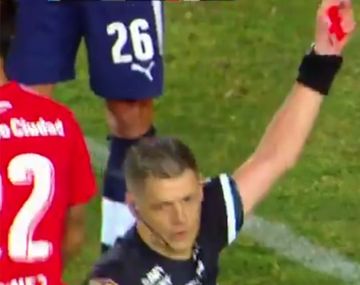 VIDEO: Delfino hizo una burrada pero la arregló a tiempo