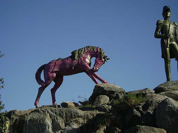 Caballo violeta-gentileza abchoy
