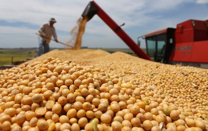 Anticipan la suba de las retenciones y suspenden la exportación de soja