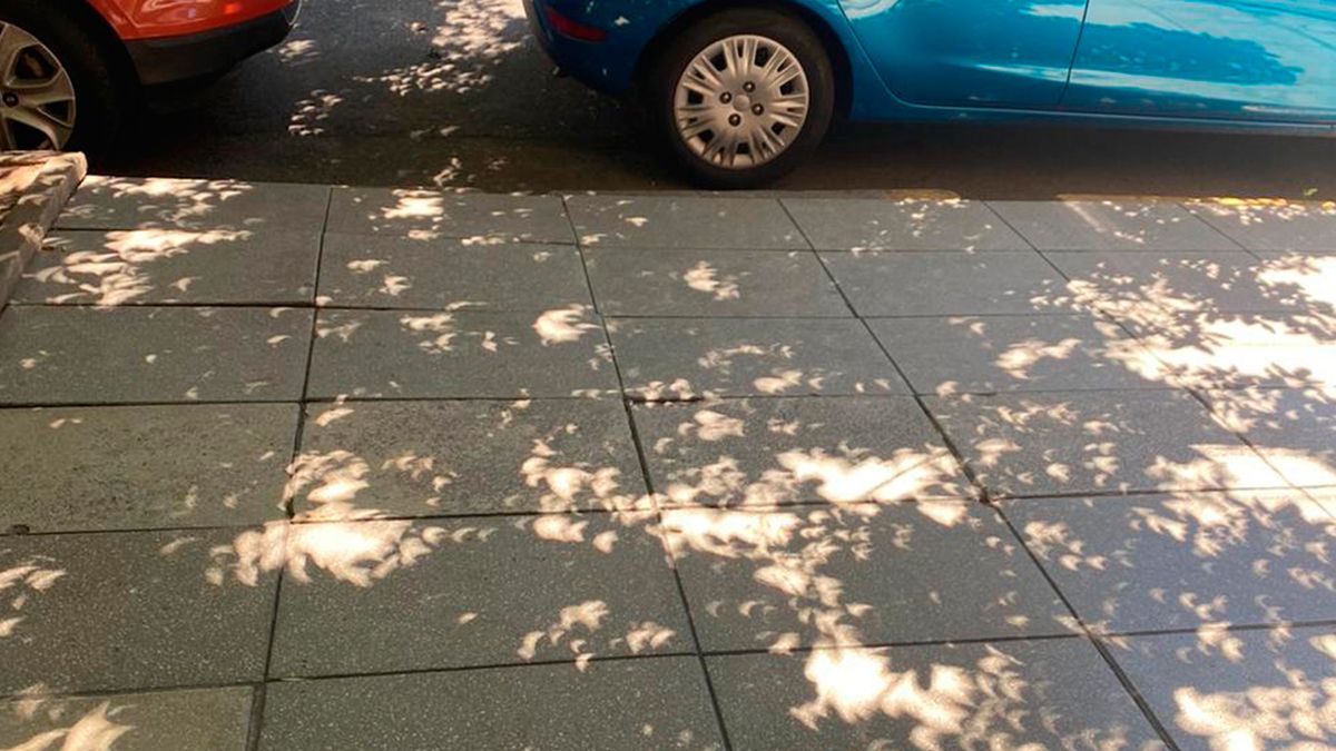 VIDEO El increíble efecto que tuvo el eclipse solar en la sombra de