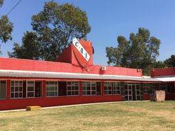 Qué crack, qué lindas piernas: los mensajes que recibían los chicos de Independiente