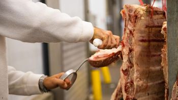 carne de exportacion: la cuota hilton tendra arancel 0% desde el 1° de mayo por el acuerdo mercosur-ue carne de exportacion: la cuota hilton tendra arancel 0% desde el 1° de mayo por el acuerdo mercosur-ue