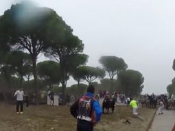 video: asi mataron a un toro en espana video: asi mataron a un toro en espana