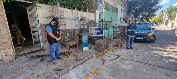 Rescatan a 22 animales silvestres autóctonos en vías de extinción