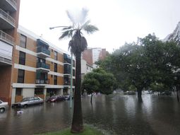 ¿Quiénes son los famosos afectados por el temporal?