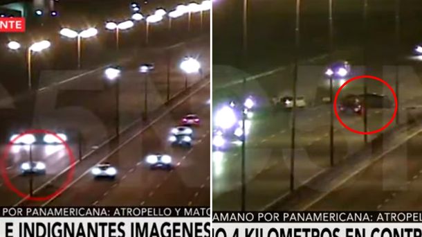 Iba a contramano, chocó y mató a dos personas en la Panamericana