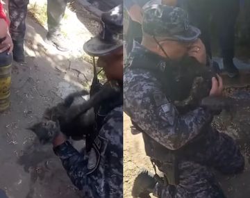 Emotivo rescate en Córdoba: salvan a una gatita discapacitada de un incendio