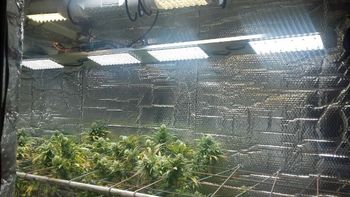 Gentileza enlacecritico Gentileza enlacecritico