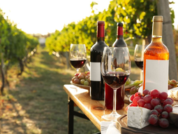 Cómo guardar el vino para que no se eche a perder