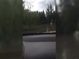 ¡malena reza! el viral del que se hizo eco hasta manu ginobili ¡malena reza! el viral del que se hizo eco hasta manu ginobili