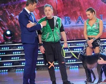 La reacción de Tinelli ante la renuncia de Doman