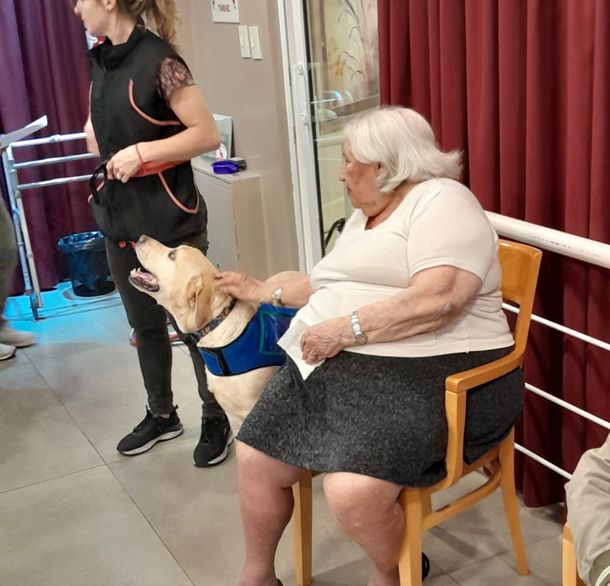 En qué consiste la caninoterapia, el tratamiento que gana cada día más adeptos