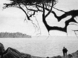 Encontrá al bebé perdido en esta imagen Encontrá al bebé perdido en esta imagen