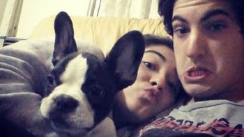 pago $14 mil por un bulldog frances trucho pago $14 mil por un bulldog frances trucho