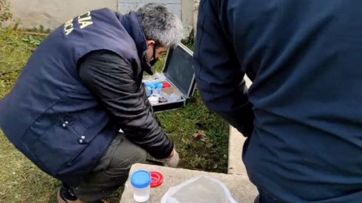 Balcarce: encontró un pene en un frasco mientras cortaba el pasto