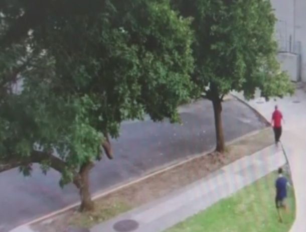 Ataque a turista australiano: el video por el que detuvieron a uno de los sospechosos