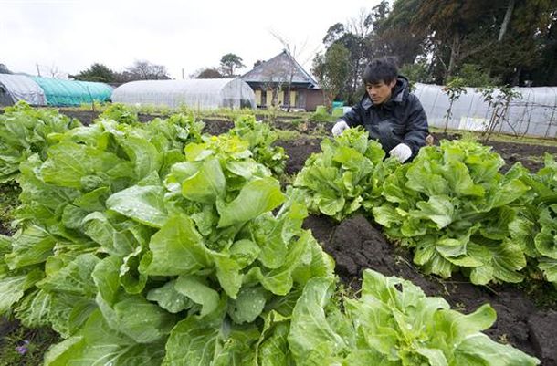 Japonalimentos_efe