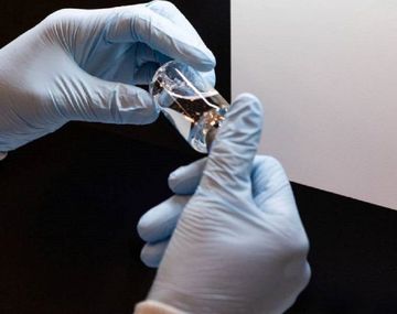 Descubren una bacteria aplicada en spray que podría proteger contra el coronavirus