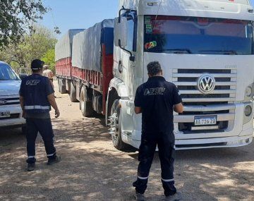 Descubren evasión millonaria con casi 600 toneladas de granos en Córdoba y Entre Ríos