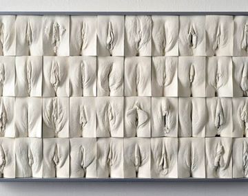 Vagina-panel