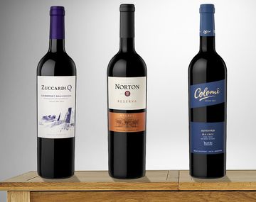 Los cuatro aportes argentinos