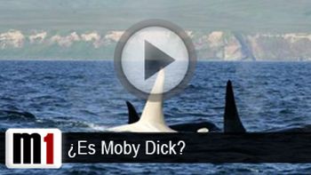 Moby-Dick Moby-Dick