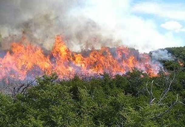 Incendio san luis