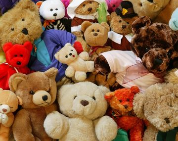 Tres chicos rompieron una reja de un comercio y se robaron tres peluches 