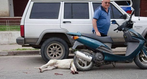 Imperdonable: arrastró a su perro hasta dejarlo moribundo