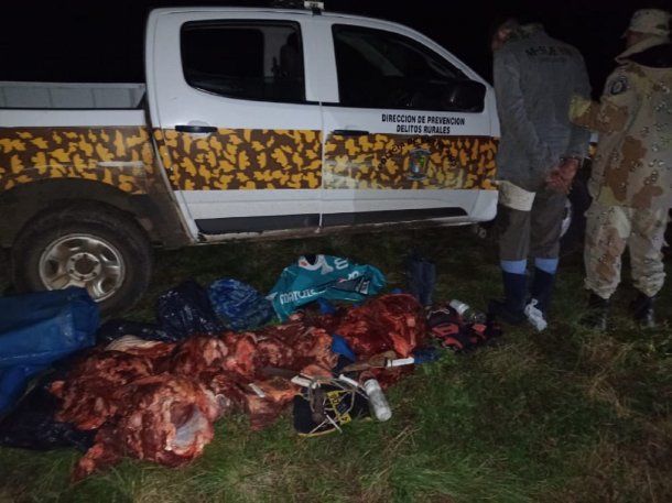 Escándalo en Entre Ríos: acusan funcionaria departamental por robar y faenar vacas