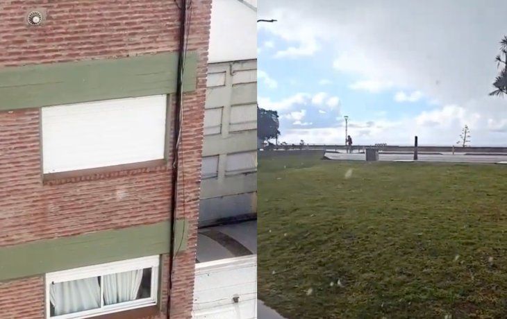 Los videos de la nieve en Mar del Plata.