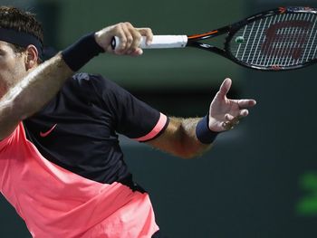 Del Potro cuidará el físico en sus próximos torneos