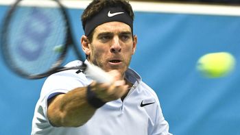 del potro derroto a dimitrov retuvo el titulo en el atp de estocolmo del potro derroto a dimitrov retuvo el titulo en el atp de estocolmo