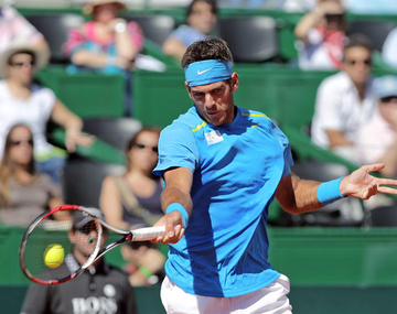 Afirman que Del Potro tiene el golpe más veloz del mundo