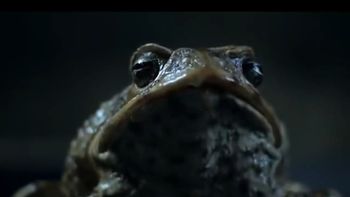 la campana invade la tv: mira los nuevos spots la campana invade la tv: mira los nuevos spots