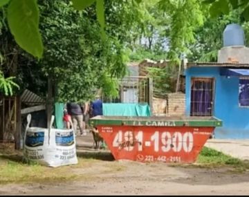 Horror en Mar del Plata: una mujer envenenó a sus 28 perros y gatos y luego se quitó la vida