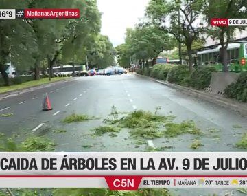 Fuertes ráfagas en el AMBA: ¿cuándo mejorará el tiempo?