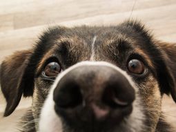 Insólito gasto del gobierno de Rodríguez Larreta