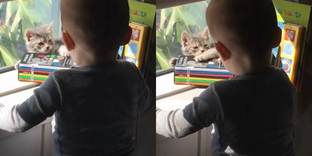 El video de Lorenzo Tinelli y su mascota