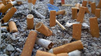 ¿via libre al tabaco en la costa argentina? ¿via libre al tabaco en la costa argentina?