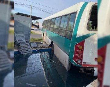 VIDEO: Un colectivo sin chofer terminó en la pileta de una casa en Tigre
