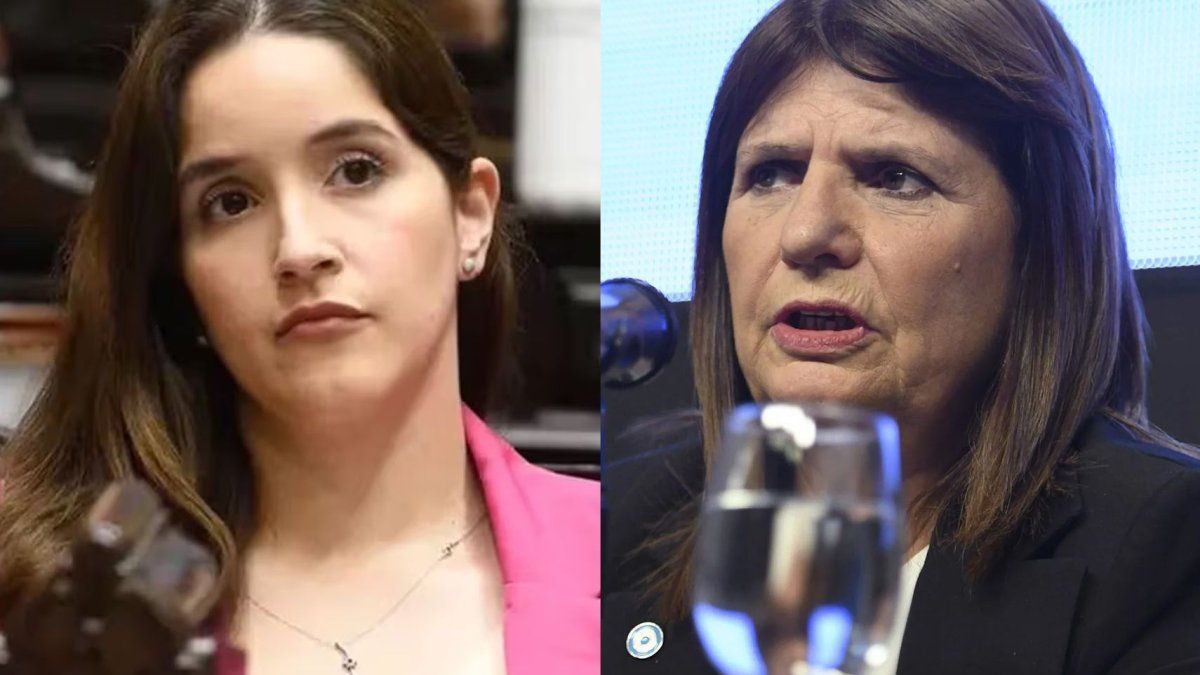 Revelaron que Patricia Bullrich dio "el ok" a diputados libertarios para la visita a represores