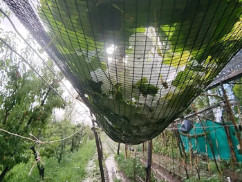 Alerta por tormentas fuertes y granizo en Buenos Aires y otras 14 provincias