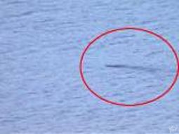 Aseguran que murió el monstruo del lago Ness tras décadas de misterio