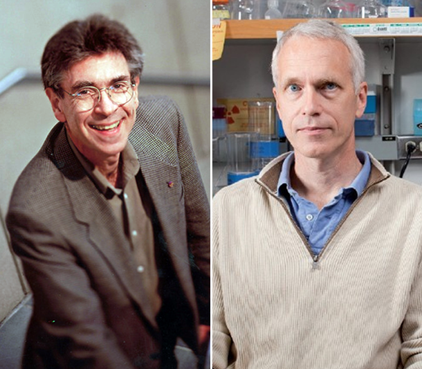 Premiaron a dos estadounidenses con el Nobel de Química