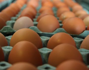 ¿Cuántos huevos  se comen en la Argentina?