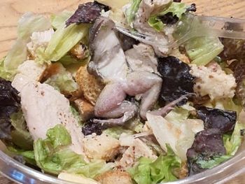 Fueron a cenar comida vegetariana y encontraron una rana en su ensalada