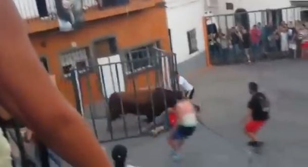 Impactante: Provocó a un toro desde una jaula y el animal casi lo mata